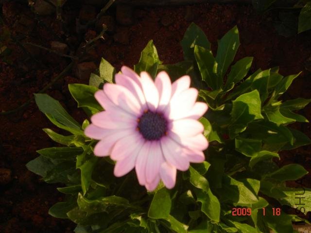 �Ҽҿ��ŵĵ�һ����Ŀ��