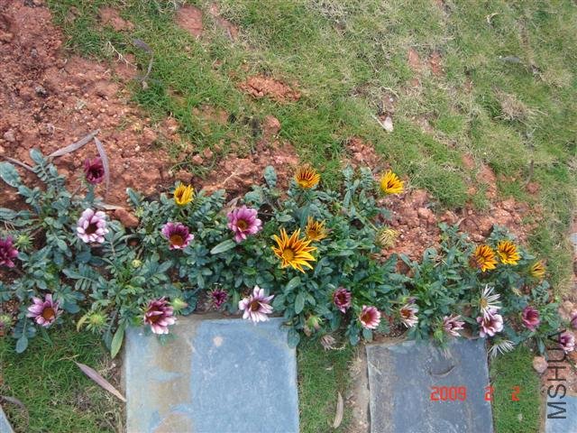 �Լ�����ѫ�¾�