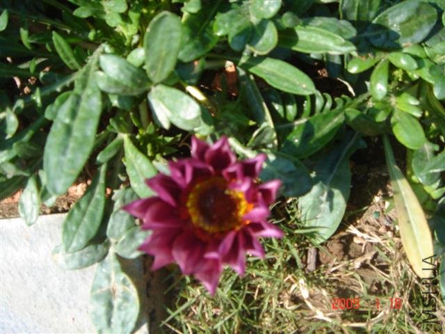 �Լ�����ѫ�¾�