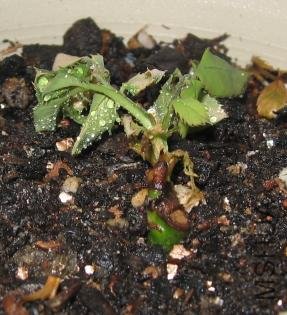 ������������ˣ���֪���ܲ��ܻ�����������