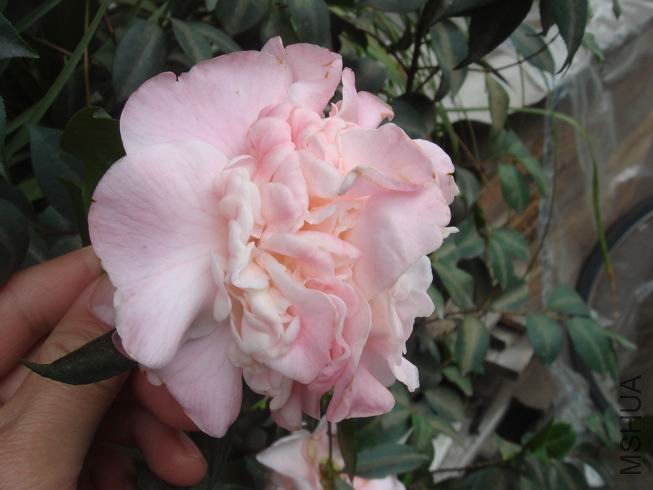 ��һ������濴