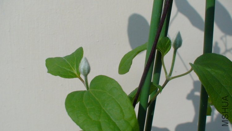 �����������ĵ�һ�Ի���.����ֻ����Լ�ɼ�.