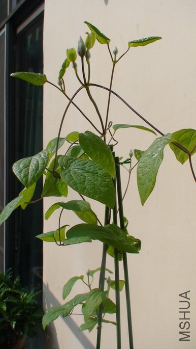 �ȿ����ĶԻ������������!