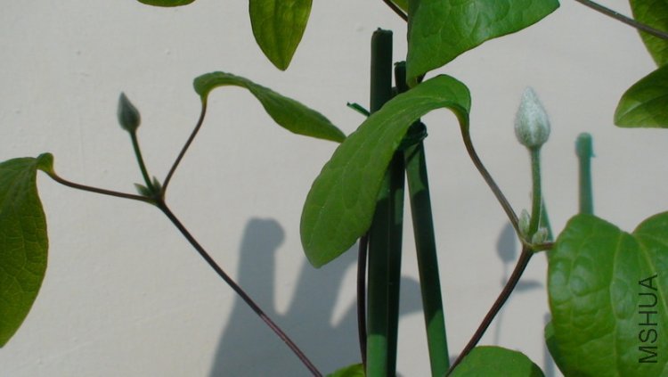 �ڶ��Ի��ٵĸ����Ѿ������Եس�����!