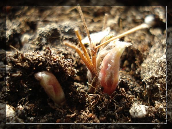 ��������һ�裬������ѿ�ް�ȫ�Ǵ�����ð�����ģ�