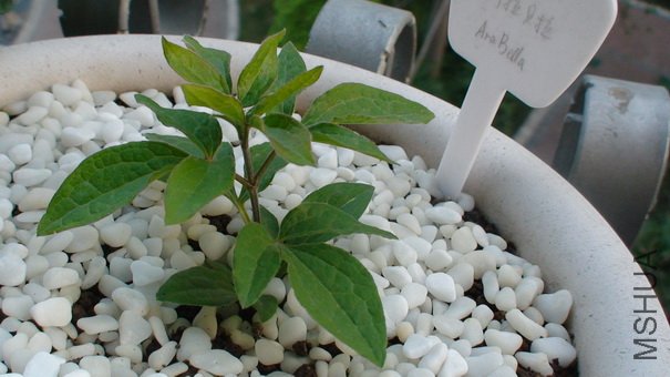 ��ʮ����ʱ������.