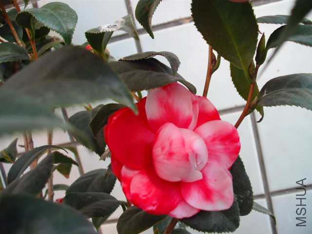 ���Ǹ����Ļ����ᣬ�������϶�һ�����⼸����û����ˮ���µģ�