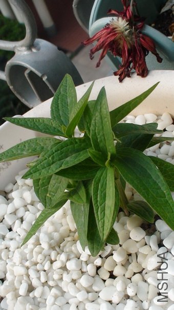 1-22��, ��ʮ����ʱ������.��ʮ���춼û��ô��.