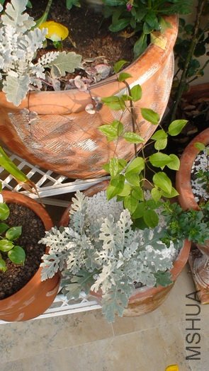 1-21��, ��ʮ����ʱ��40cm�ߡ���10��Ĺ��򣬾���Ϊ�����ĸ߼��ӣ���ʱ�Ľܿ��Ѿ��Ⱥ�������20cm��