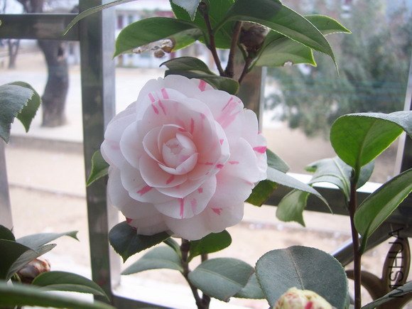 ��Ƭ200902 115.jpg