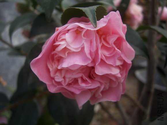 ��Ƭ200902 121.jpg