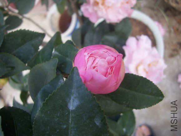 ��Ƭ200902 120.jpg