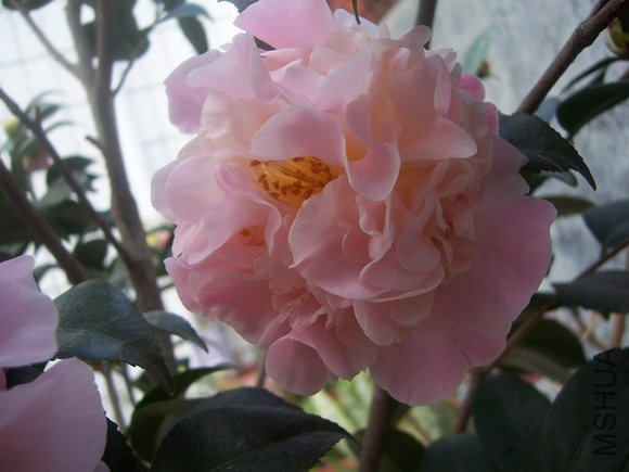 ��Ƭ200902 123.jpg