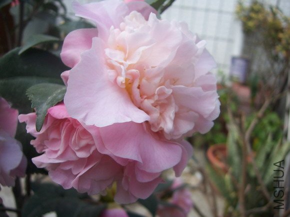 ��Ƭ200902 122.jpg