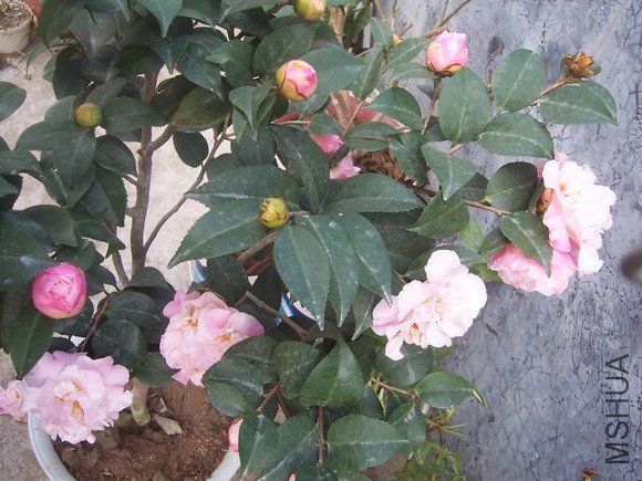 ��Ƭ200902 119.jpg