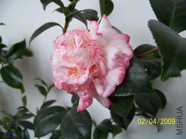 100_1201.JPG
