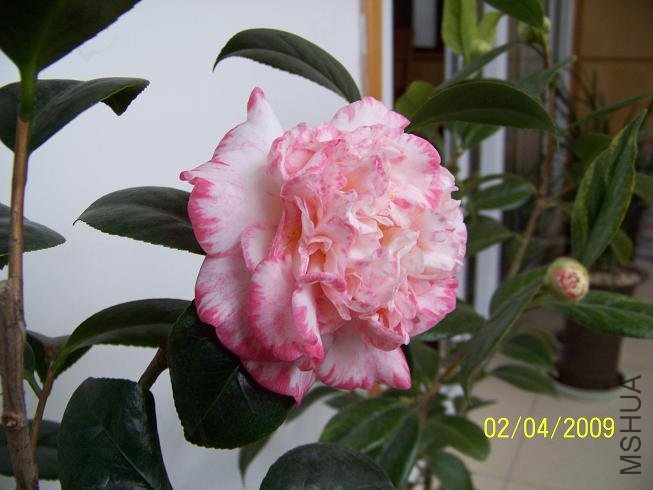 100_1198.JPG