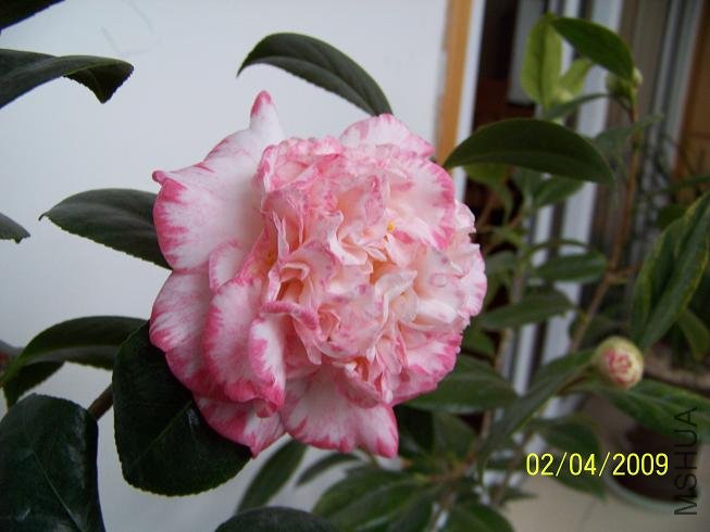 100_1199.JPG