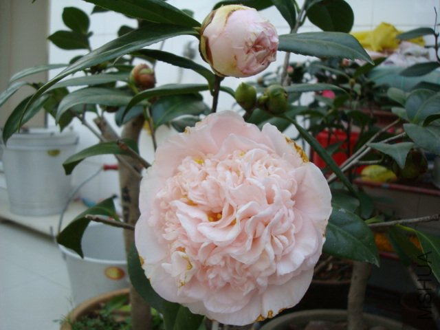 ����֮��