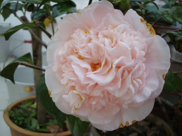 ����֮��