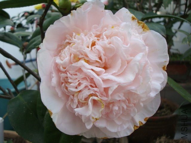 ����֮��