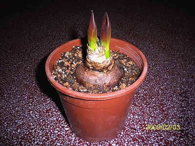 �����͵�ͯ��