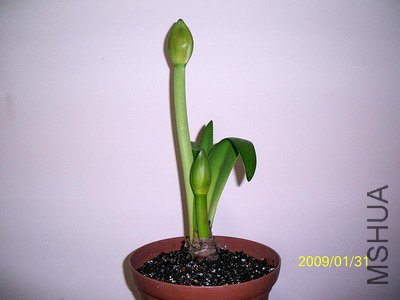 ��Ƭ 2441(400).jpg