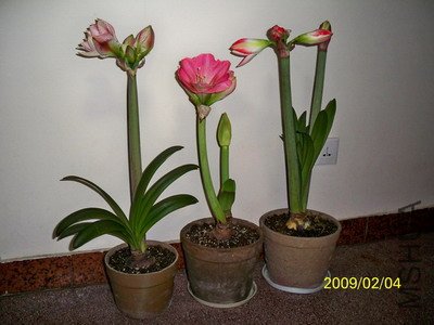 ��Ƭ 2123(400).jpg