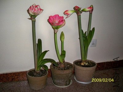 ��Ƭ 2122(400).jpg