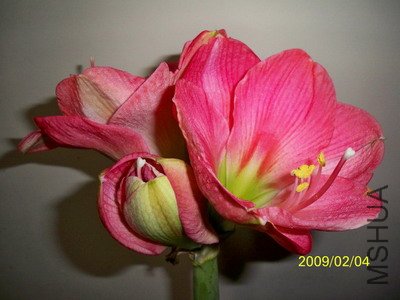 ��Ƭ 2386(400).jpg