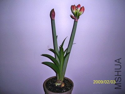 ��Ƭ 2491(400).jpg