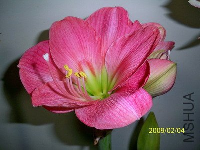 ��Ƭ 2385(400).jpg