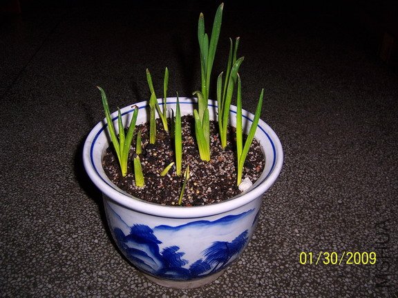 ��Ƭ 374(576).jpg