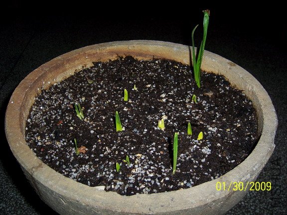 ��Ƭ 380(576).jpg