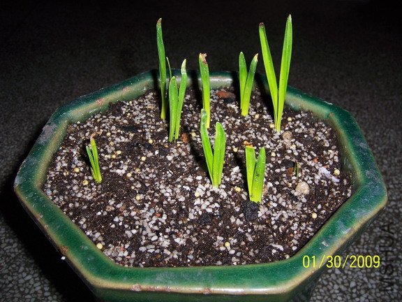 ��Ƭ 377(576).jpg