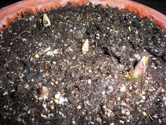 09-2-5���ĵ���Ƭ