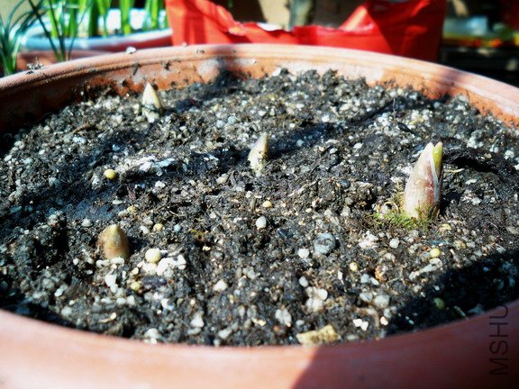 09-2-5���ĵ���Ƭ