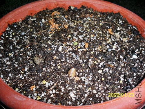 ��Ƭ 272(500).jpg