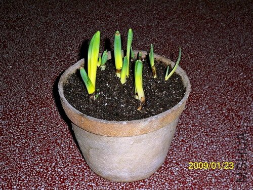 ��Ƭ 310(A)(500).jpg