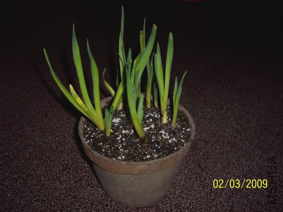 ��Ƭ 318(576).jpg