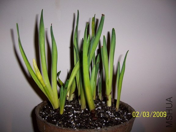 ��Ƭ 324(576).jpg