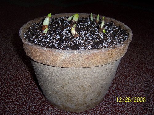 ��Ƭ 306(500).jpg