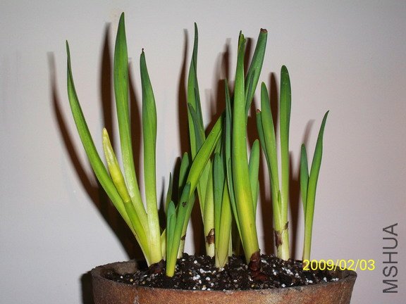 ��Ƭ 331(576).jpg