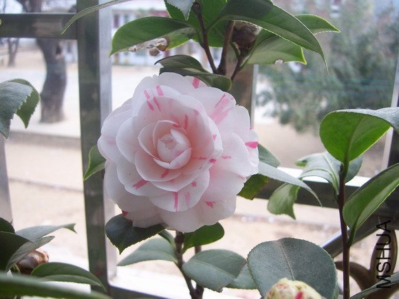 ��Ƭ200902 115.jpg