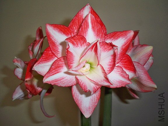 ��Ƭ 2578(576).jpg