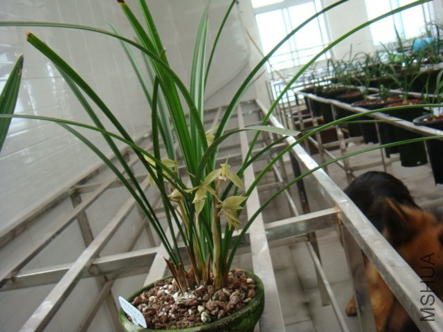 DSC00235.JPG