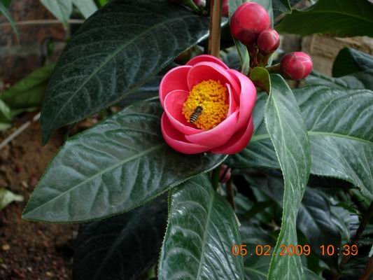 ������С DSCN0943.JPG