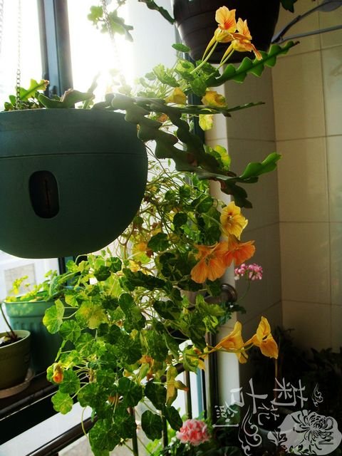 nEO_IMG_nEO_IMG_DSC00968.jpg