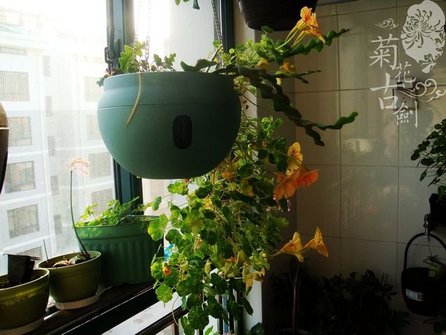 nEO_IMG_nEO_IMG_DSC00969.jpg