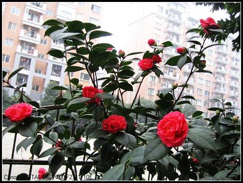 IMG_0049.JPG